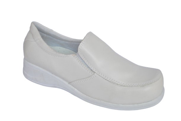 Zapato Dama