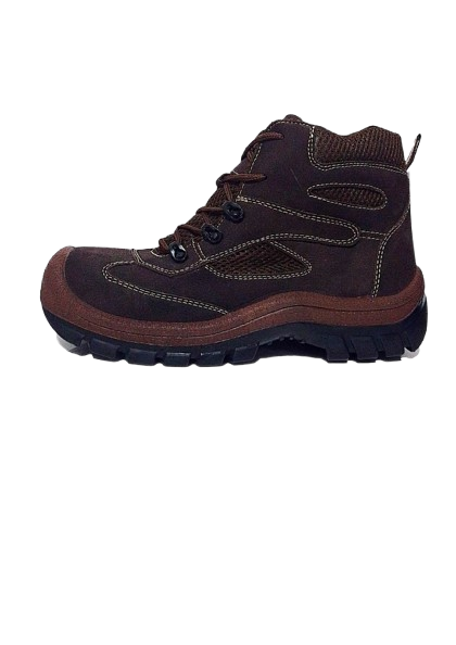 Bota
