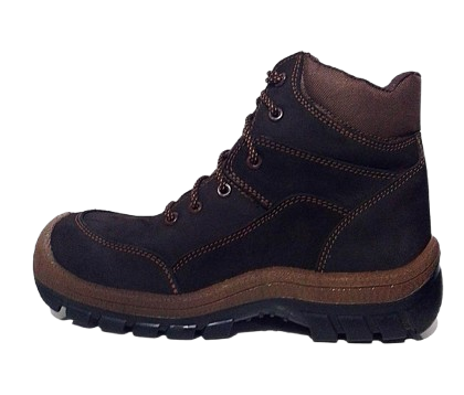 Bota